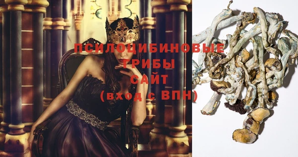 хмурый Михайловск