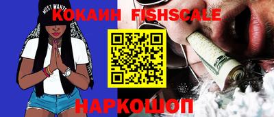гидра Будённовск
