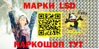 гидра Будённовск