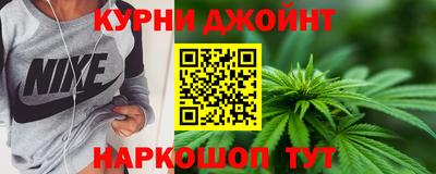 гидра Будённовск