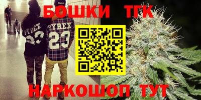 гидра Будённовск