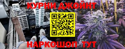 гидра Будённовск