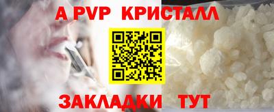 спайс Берёзовский