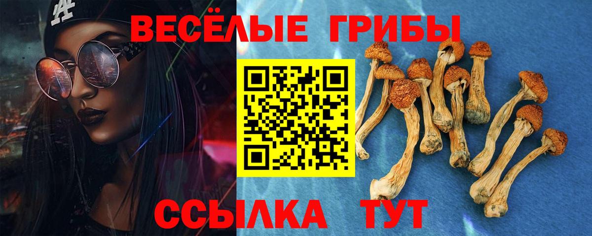 Галлюциногенные грибы Psilocybe Добрянка